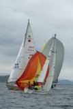 hot toddy 3199y saracen gbr626t whyw18 sun gjmc 6181w